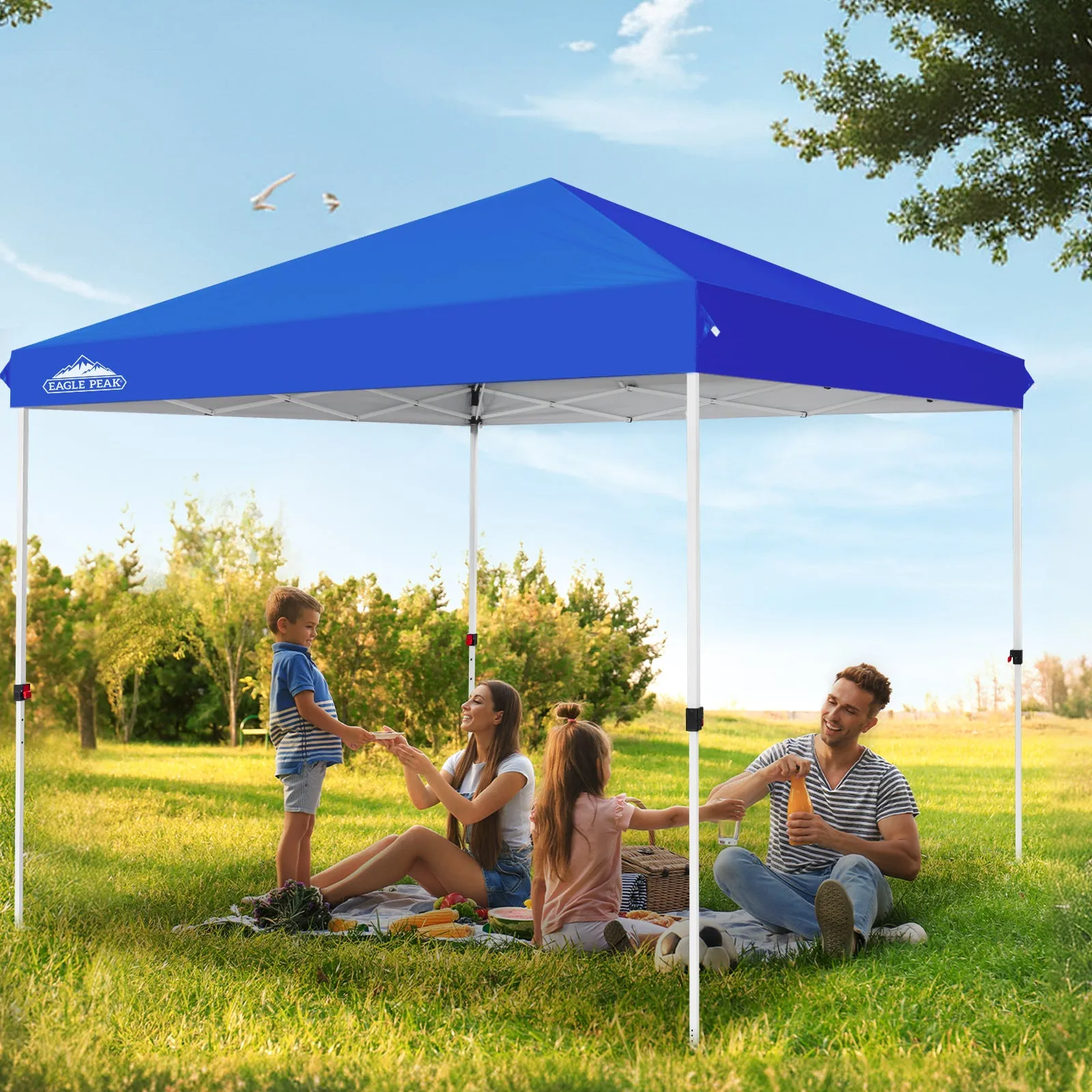 EAGLE PEAK 10x10 Outdoor Pop up Straight Leg Canopy with Wheeled Carry Bag, 100 Square Feet of Shade