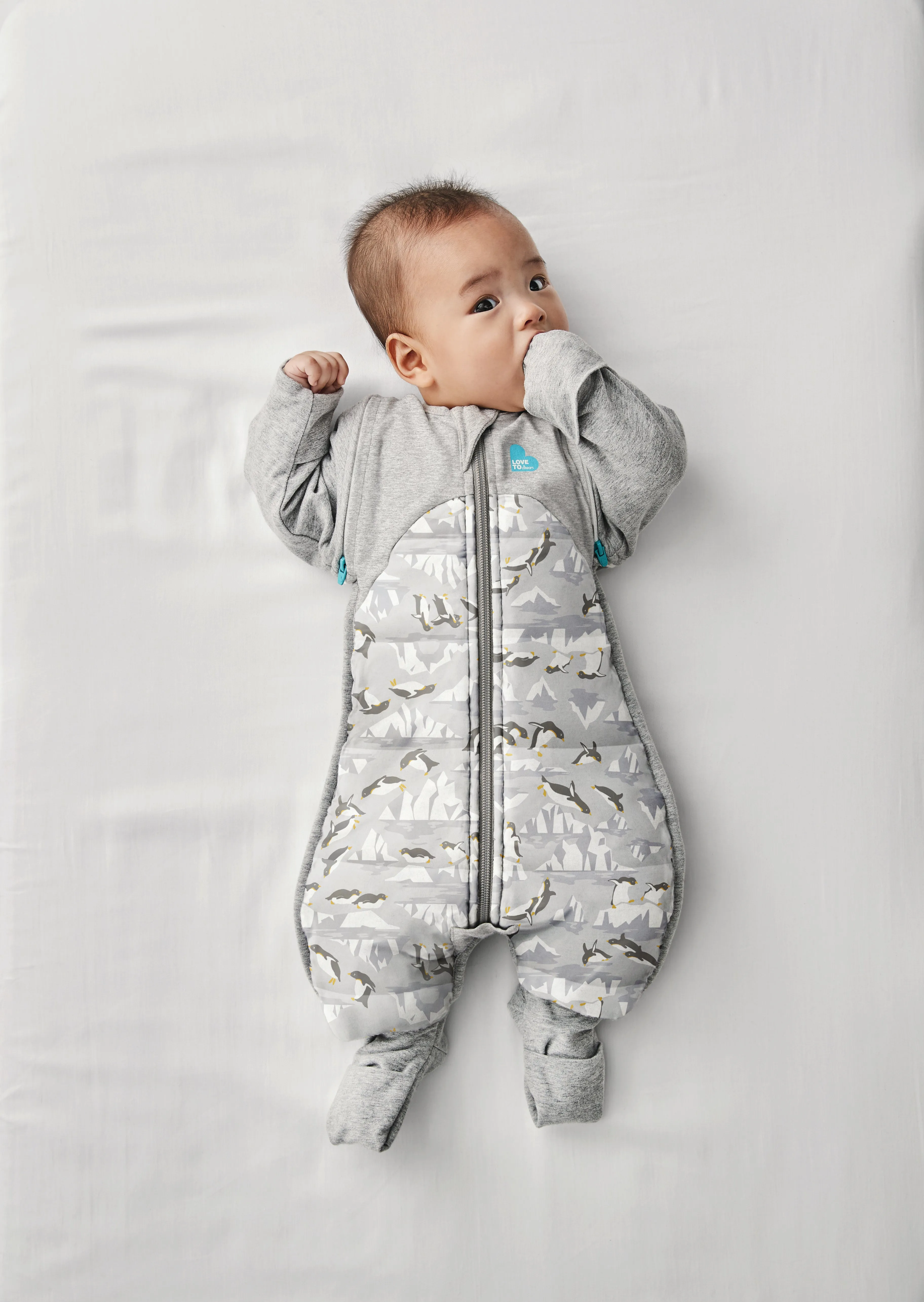 Love To Dream Swaddle Up Transition Suit 3.5 TOG