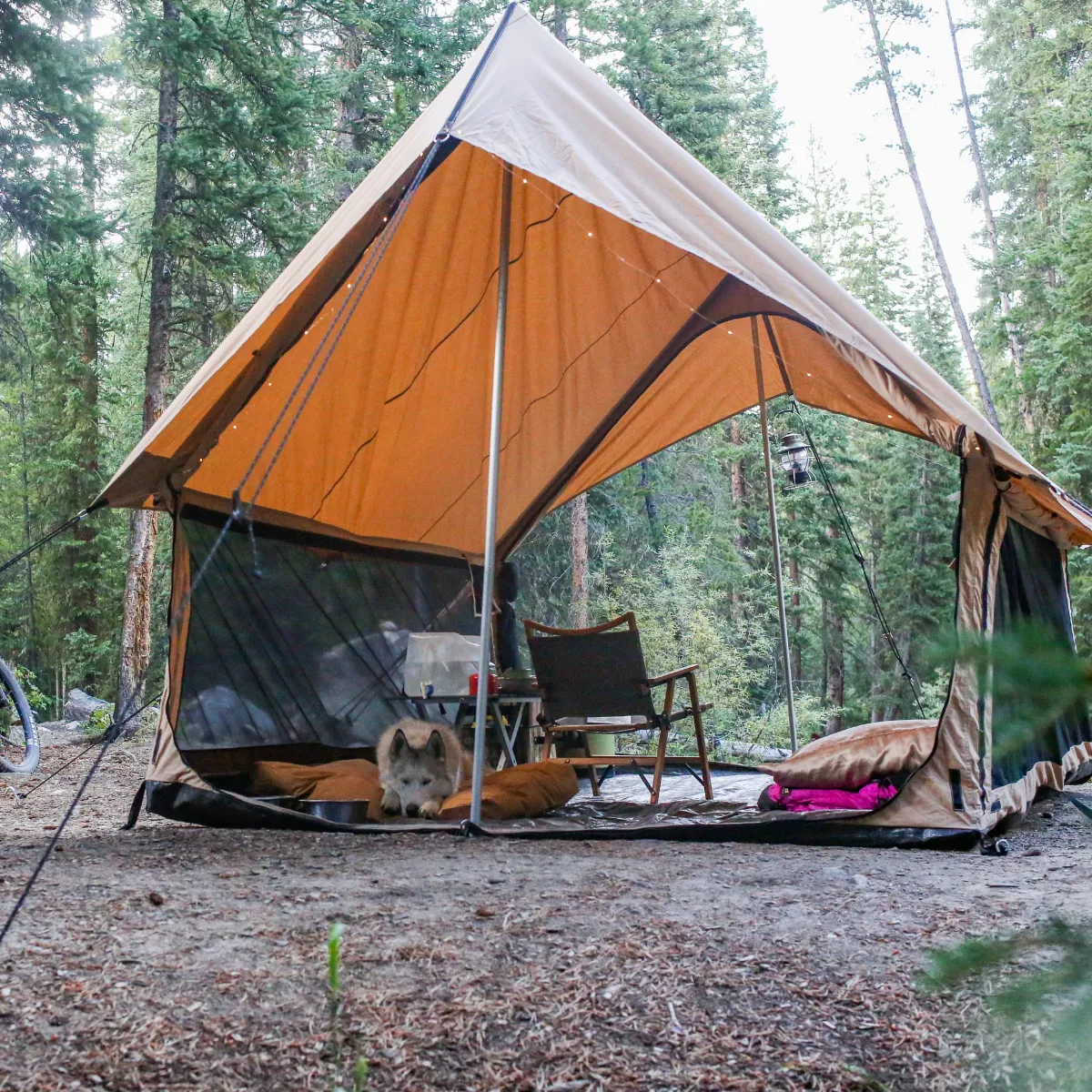 Rover Scout Tent 8'x13'