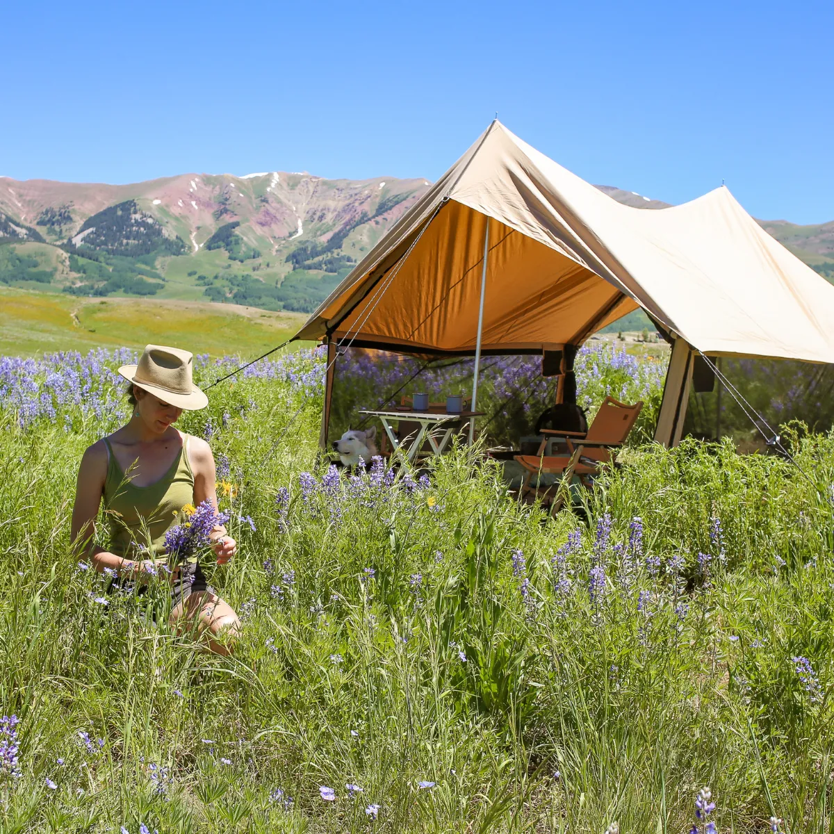 Rover Scout Tent 8'x13'